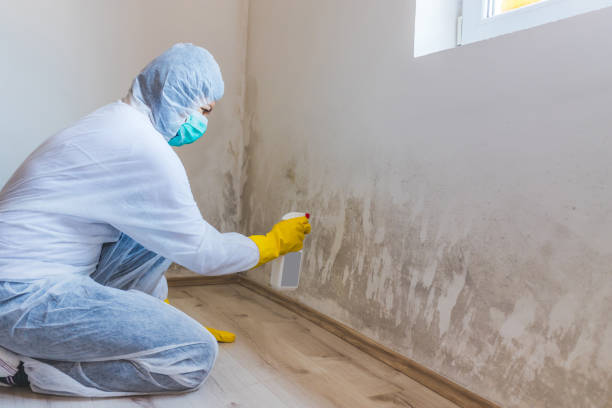 Licensed Hvac And Air Duct Mold Remediation service in Portsmouth, VA - Mold Remediation HQ